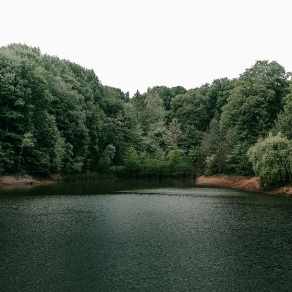 caractéristique environnementale définition