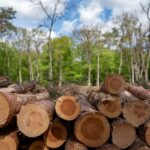 règlement européen déforestation