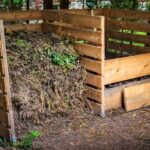 Compostabilité : une solution durable pour gérer nos déchets organiques
