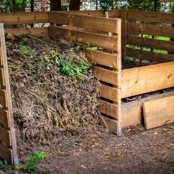 Compostabilité : une solution durable pour gérer nos déchets organiques