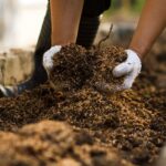 Compostage : un procédé naturel clé