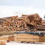 Connexes et sous-produits de l’industrie du bois : un gisement naturel à valoriser